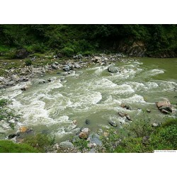 MST Tirthan Valley - Great Himalayan National Park 5N/6D